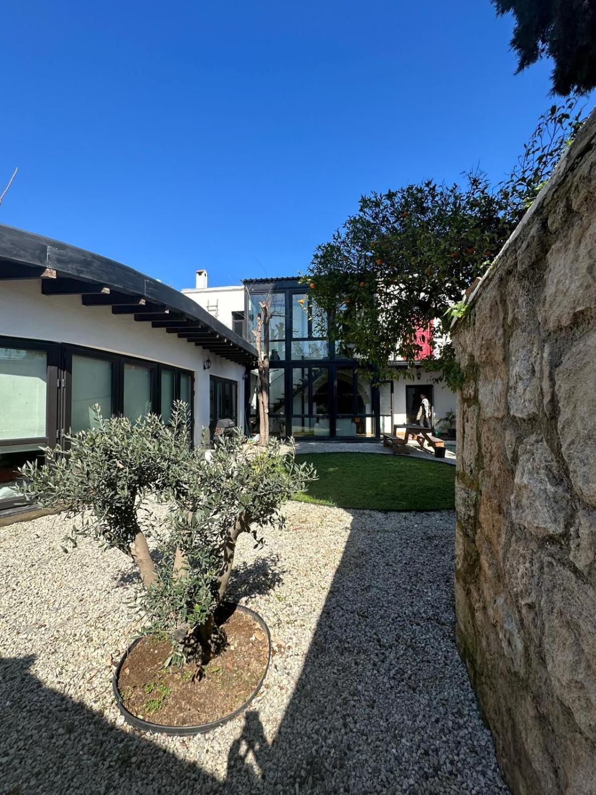 Olive House Villa Kyrenia  Eksteriør billede